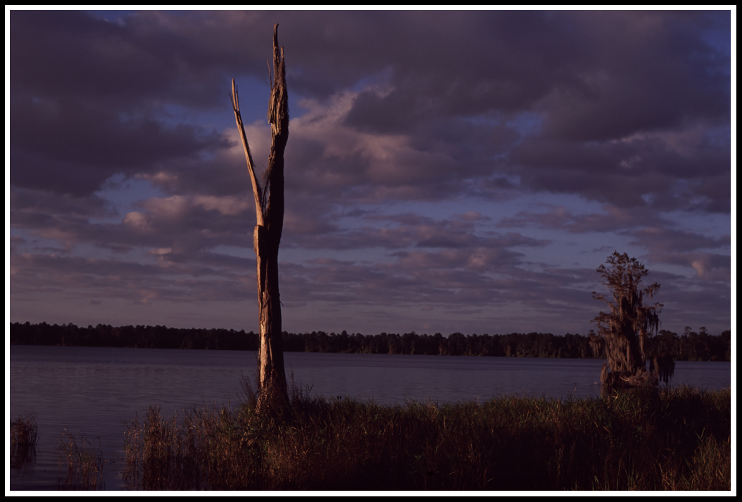 North Florida Lake