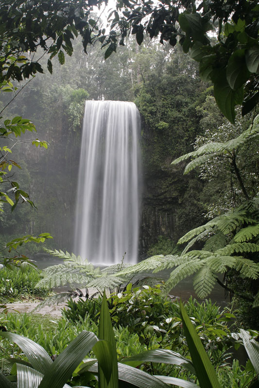 Millaa Millaa Falls