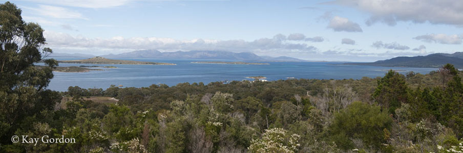 View from Vinegar Hill