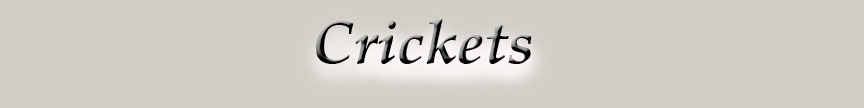 CricketsLogo.jpg