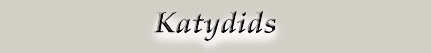 KatydidsLogo.jpg