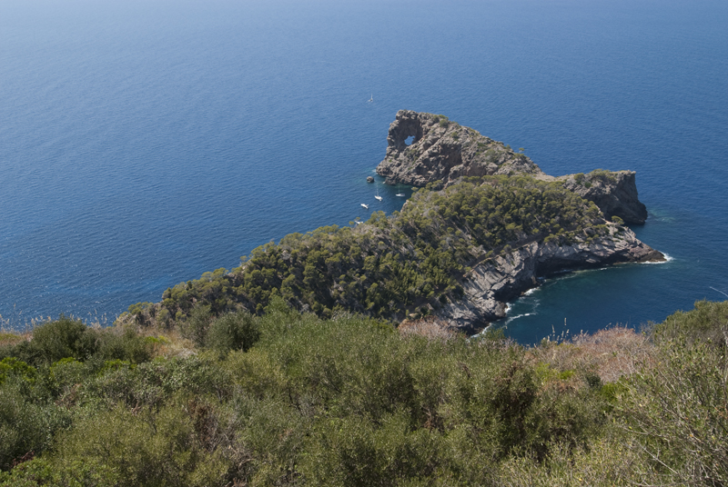 _ING6113 Deia Punta Foradada.jpg