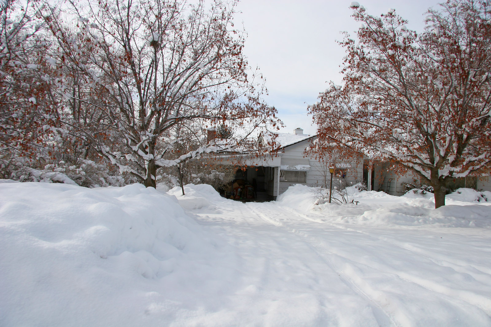 feb08snow-driveway.jpg