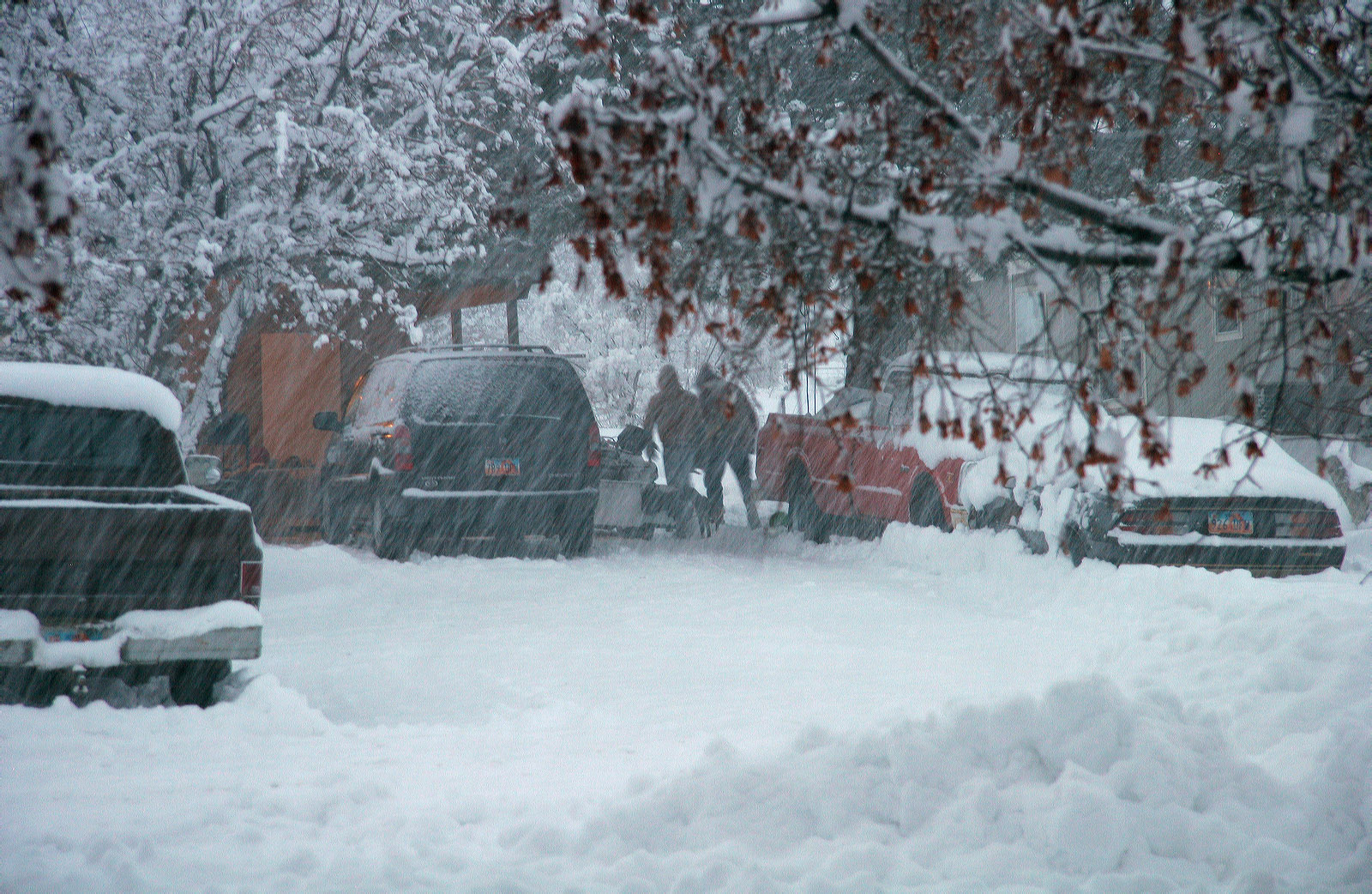 feb08snow-neighbor.jpg