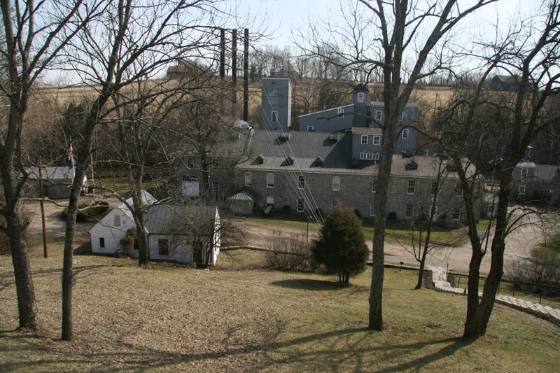 IMG_5251.JPG