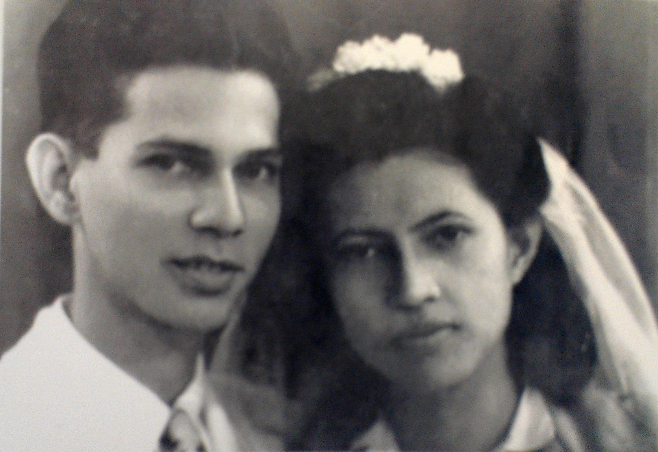 Our Parents 1950