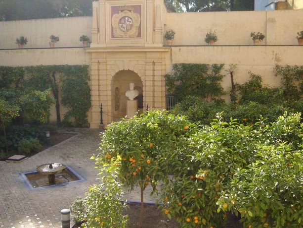 DSC00803.JPG