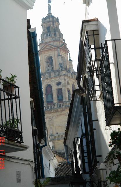 Mesquita
