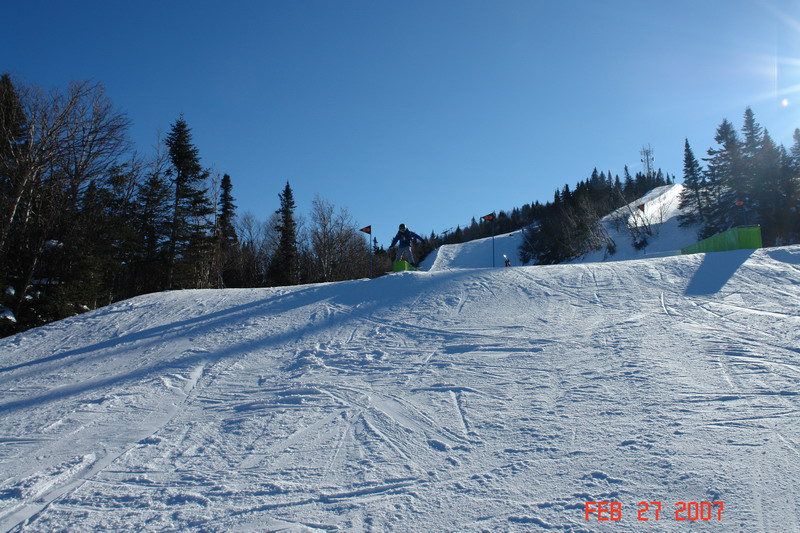 sammy jumping