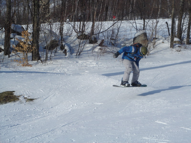 sammy jumping