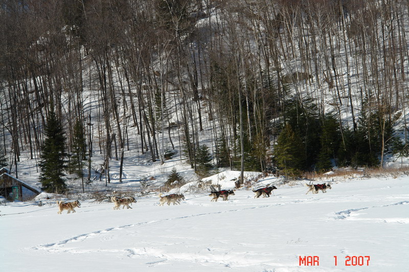 on frozen lake