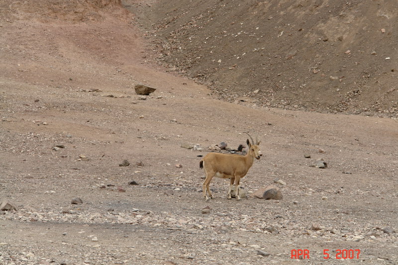 red canyon tiyul