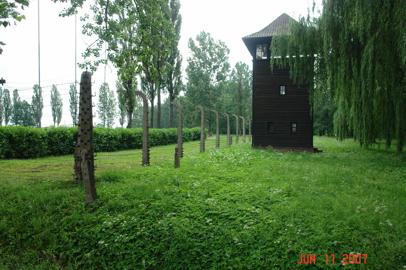 Birkenau_05.JPG