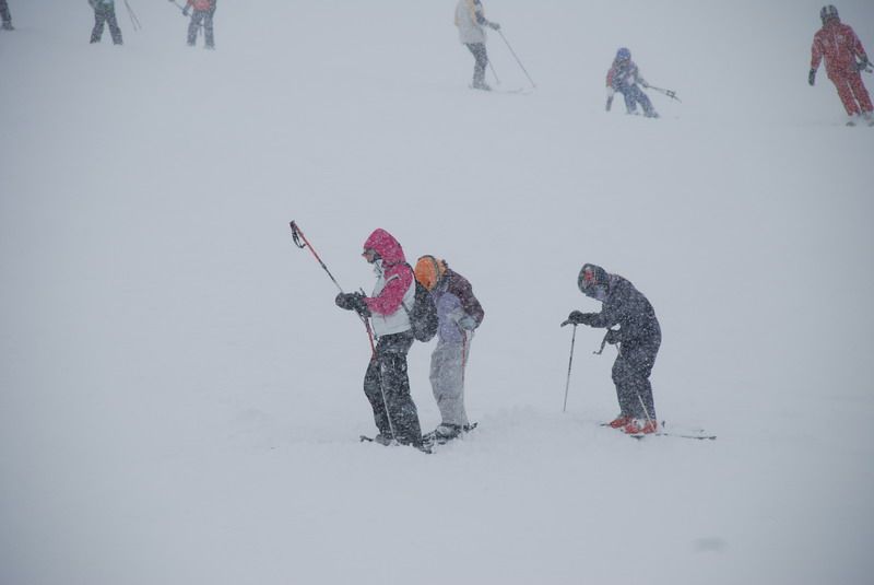 DSC_0223.JPG