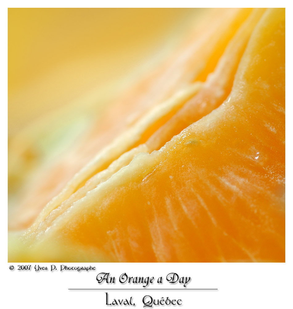 An Orange a Day ...
