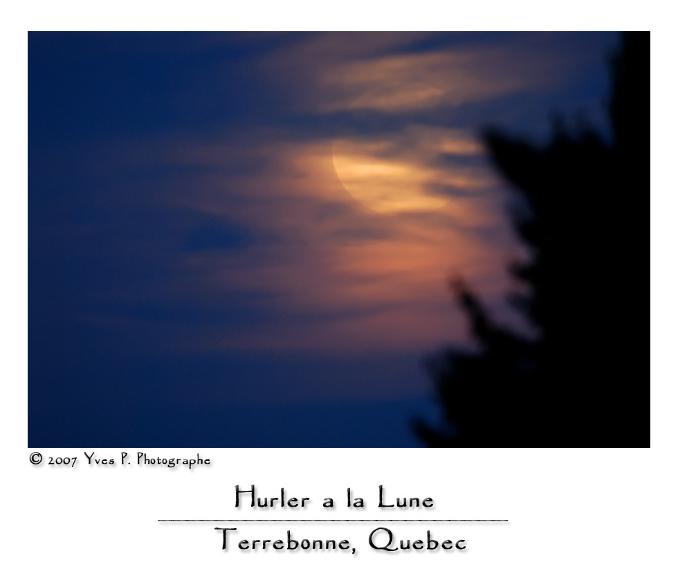 Hurler  la Lune ...