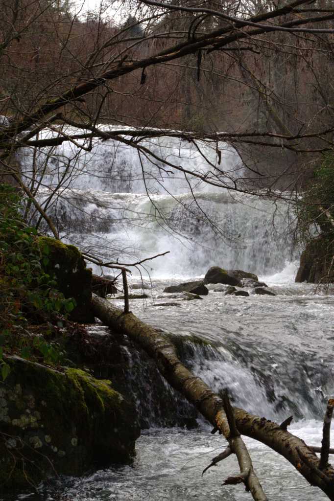 SCHEGGIA 3 salti (ridotta).jpg