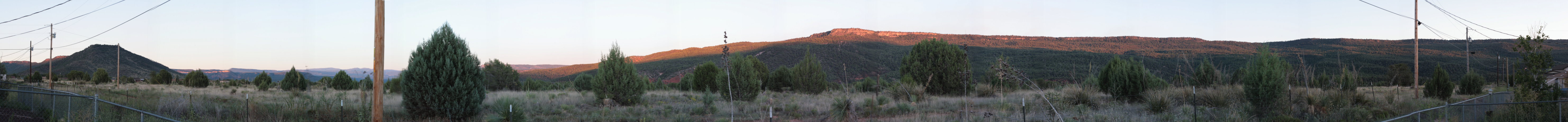 My Back Yard
