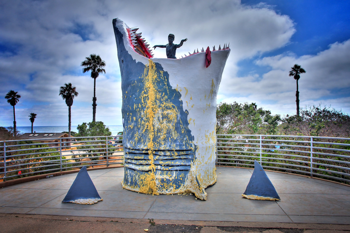 IMG_great white.jpg