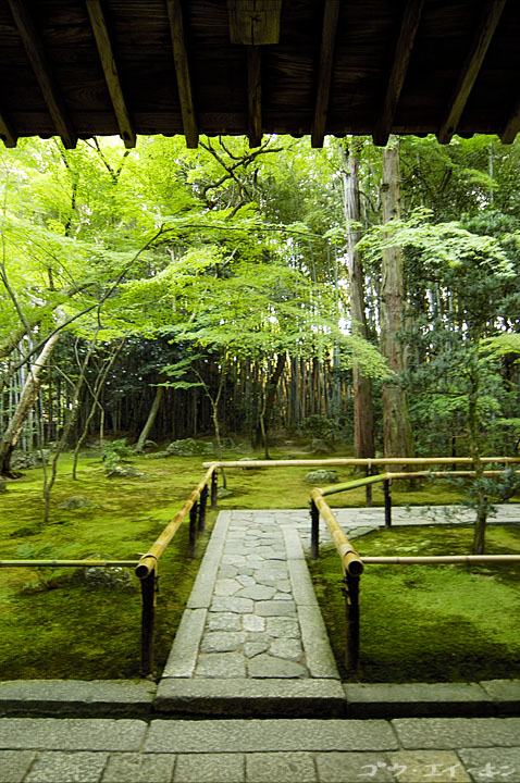 kyoto0502.jpg