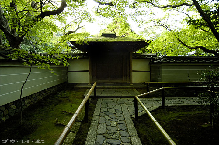 kyoto0504.jpg