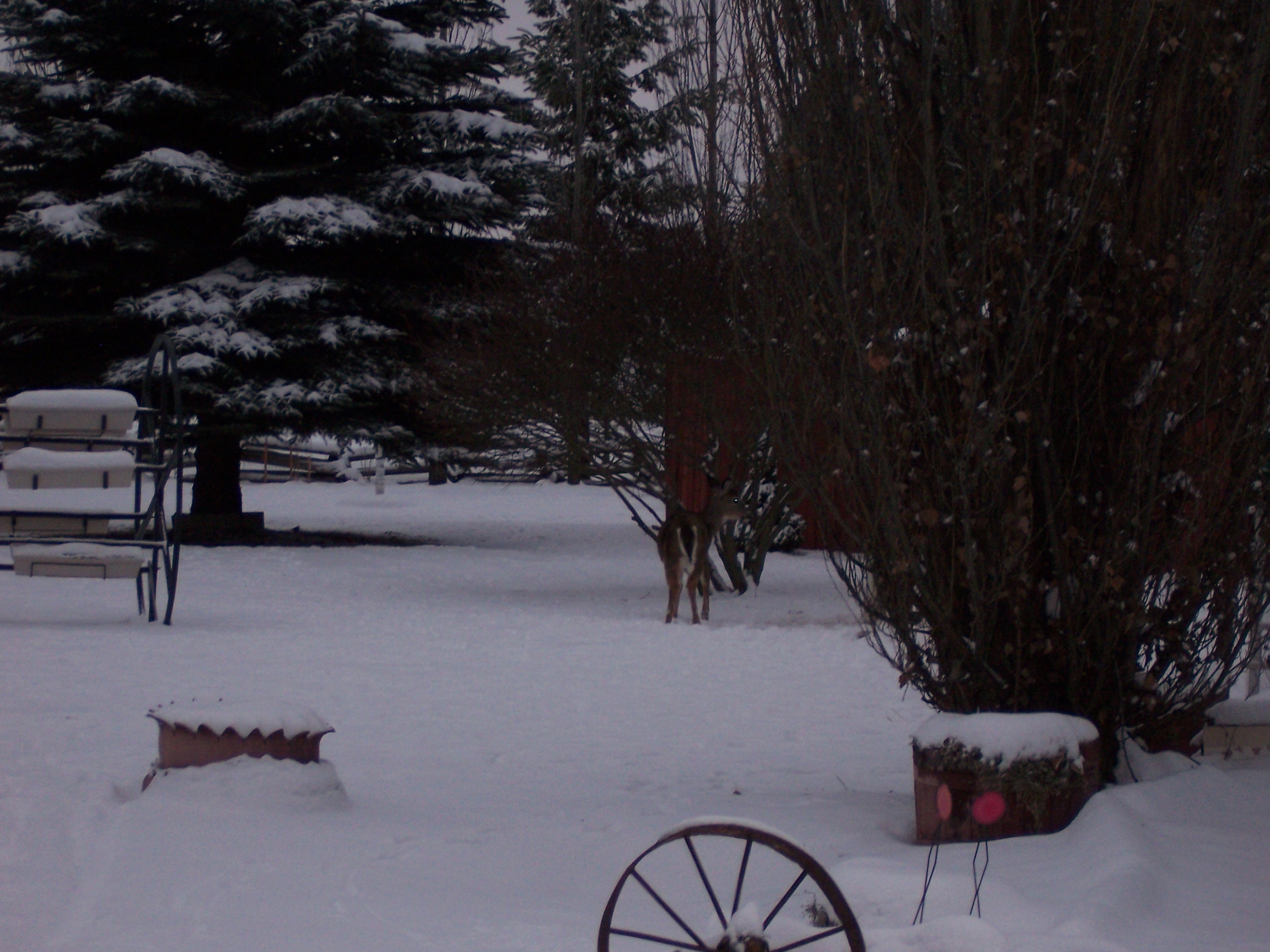 100_0152.jpg