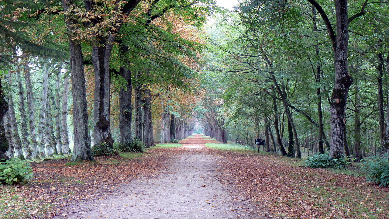 Chateau de Chenonceau - France
