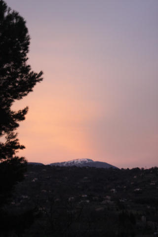 (3)