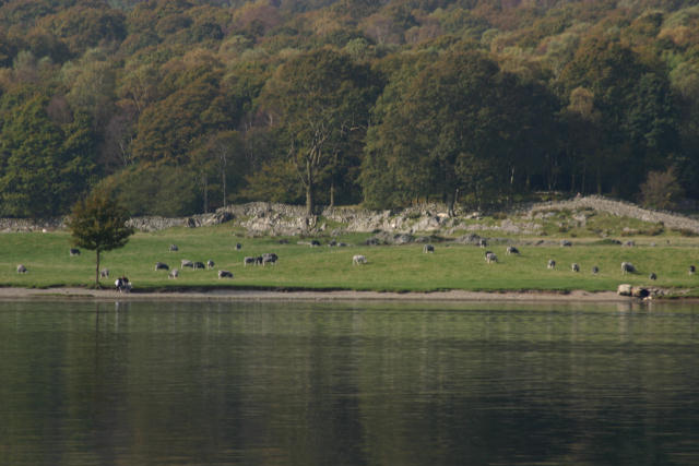 Coniston Water