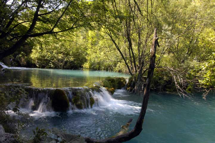 _DSC0077.JPG