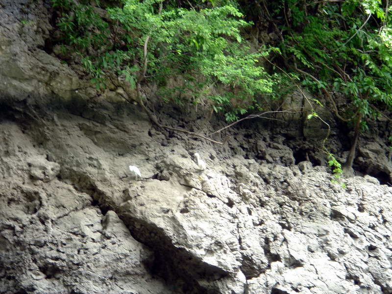 Caon del Sumidero_Rio Grijalva_Chiapas_ 020.jpg