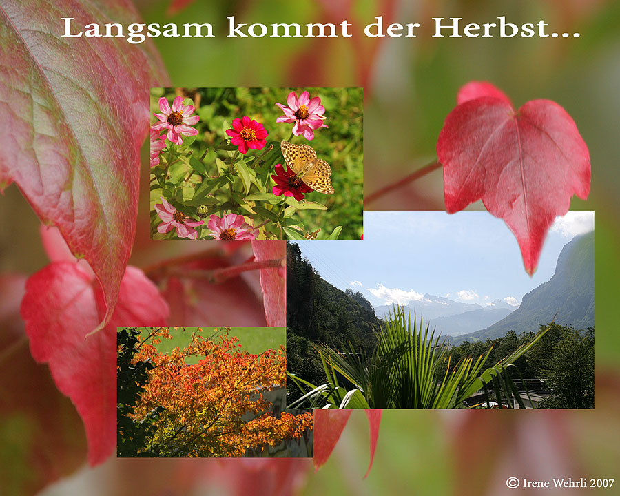 Langsam kommt der Herbst...