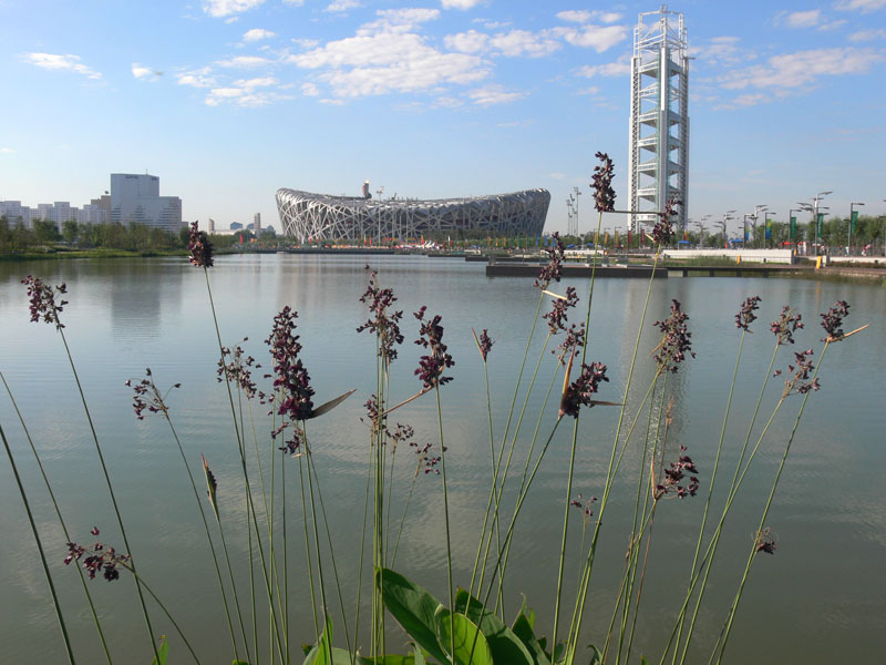P1420188res.jpg