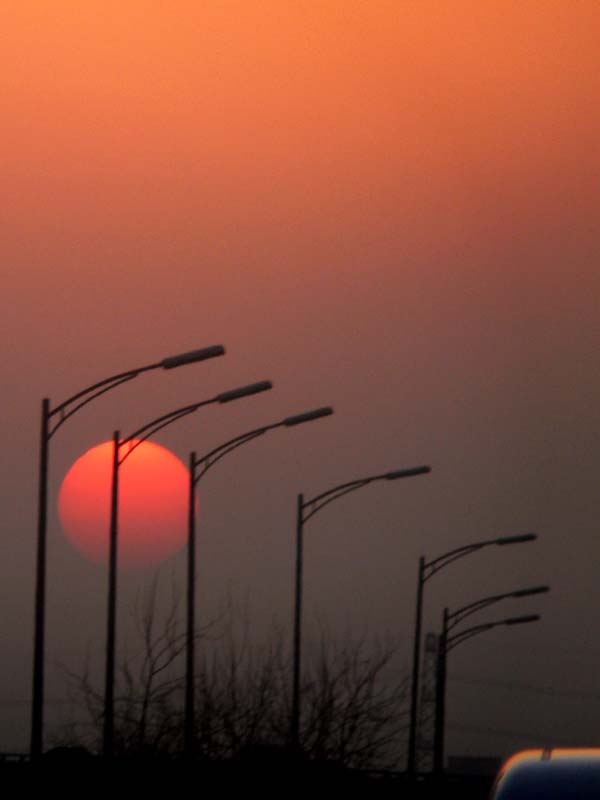 Through the smog