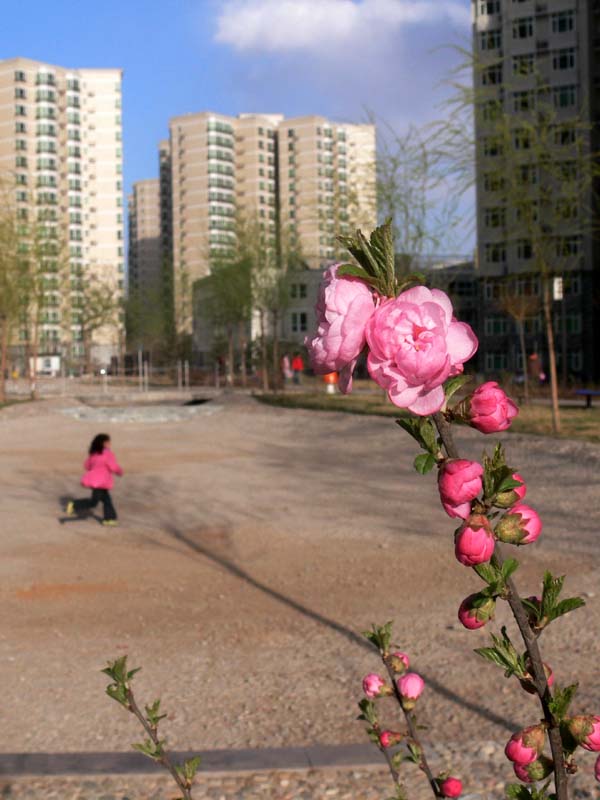 Spring touch