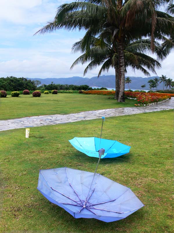 After rain