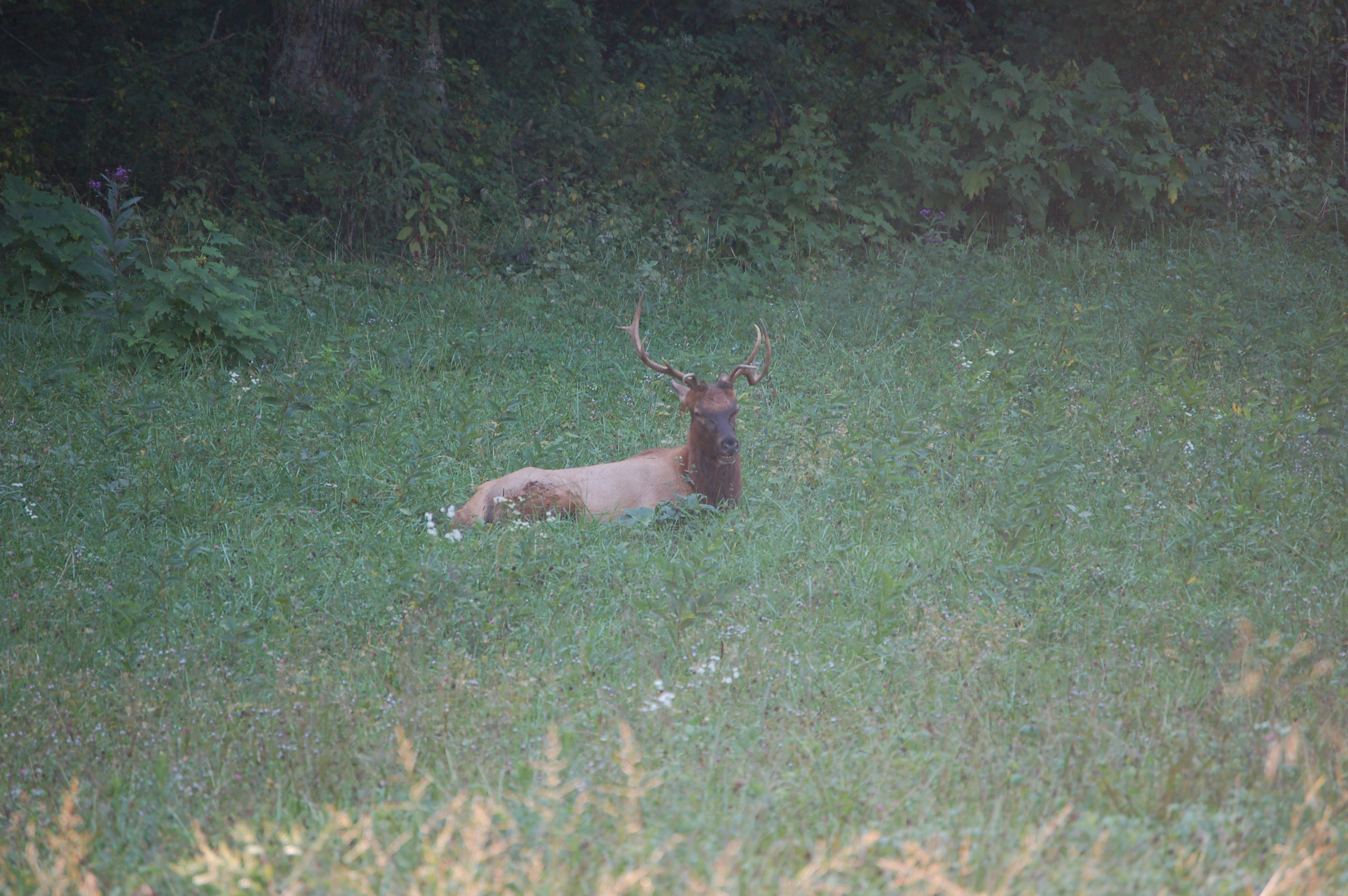 DSC_7214.JPG
