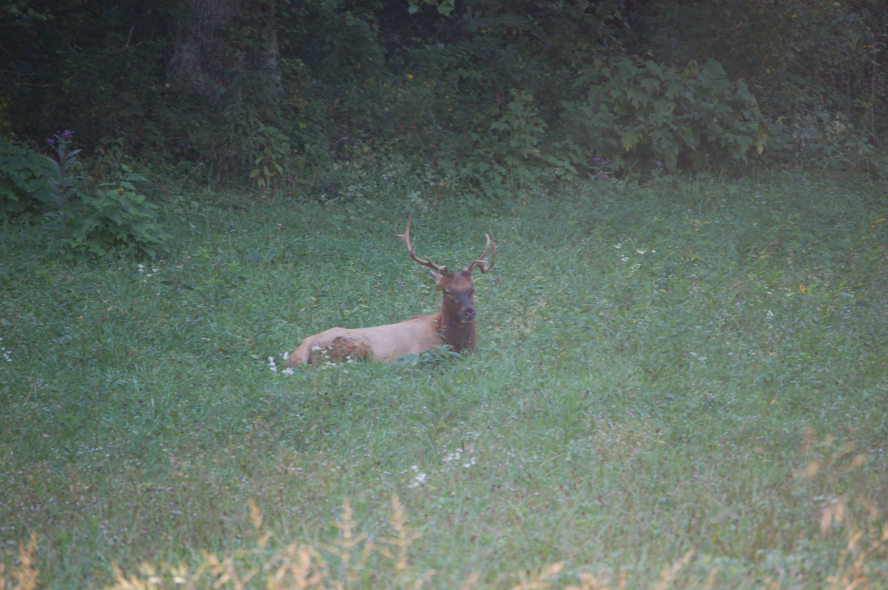 DSC_7215.JPG
