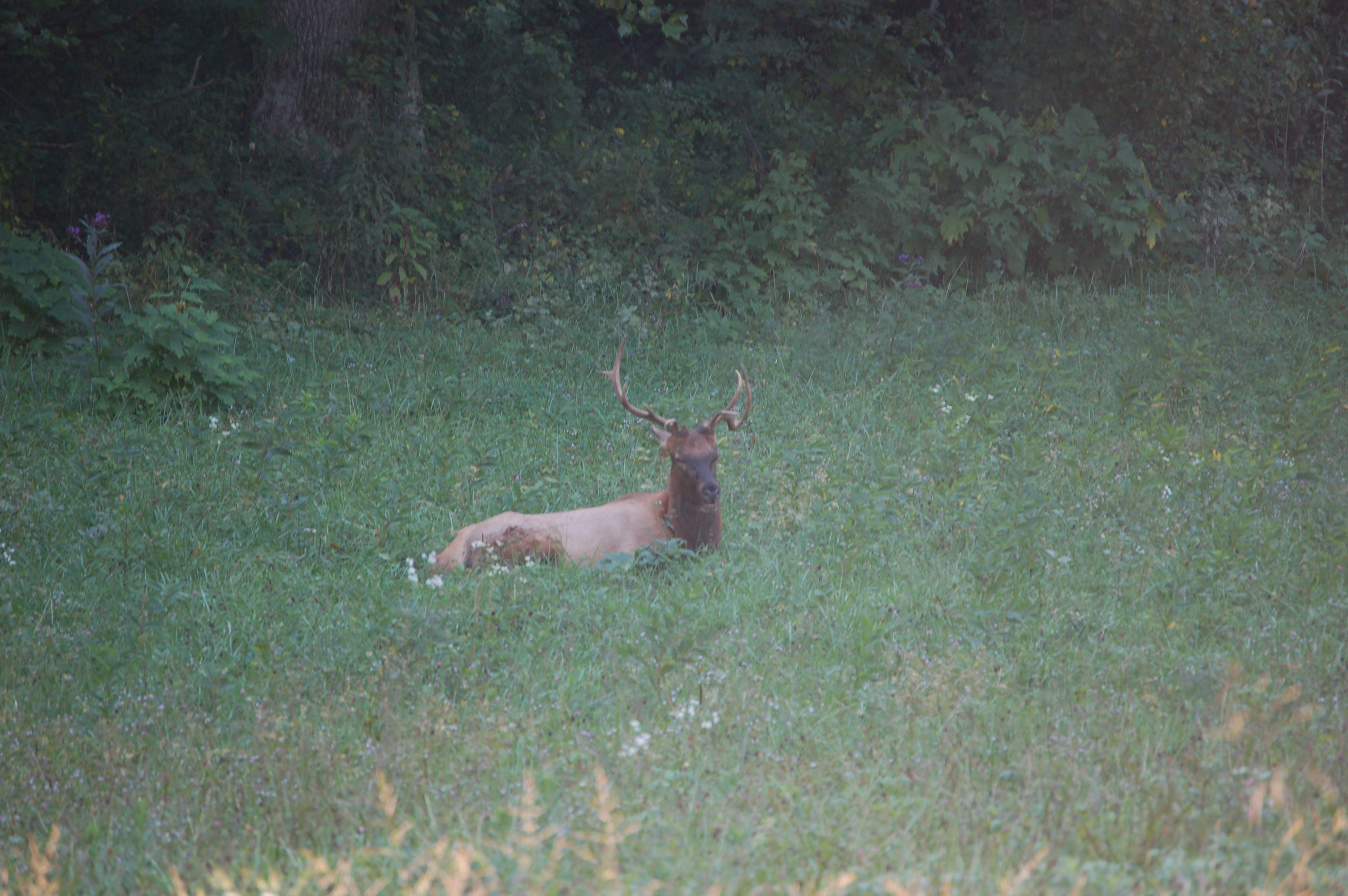 DSC_7216.JPG