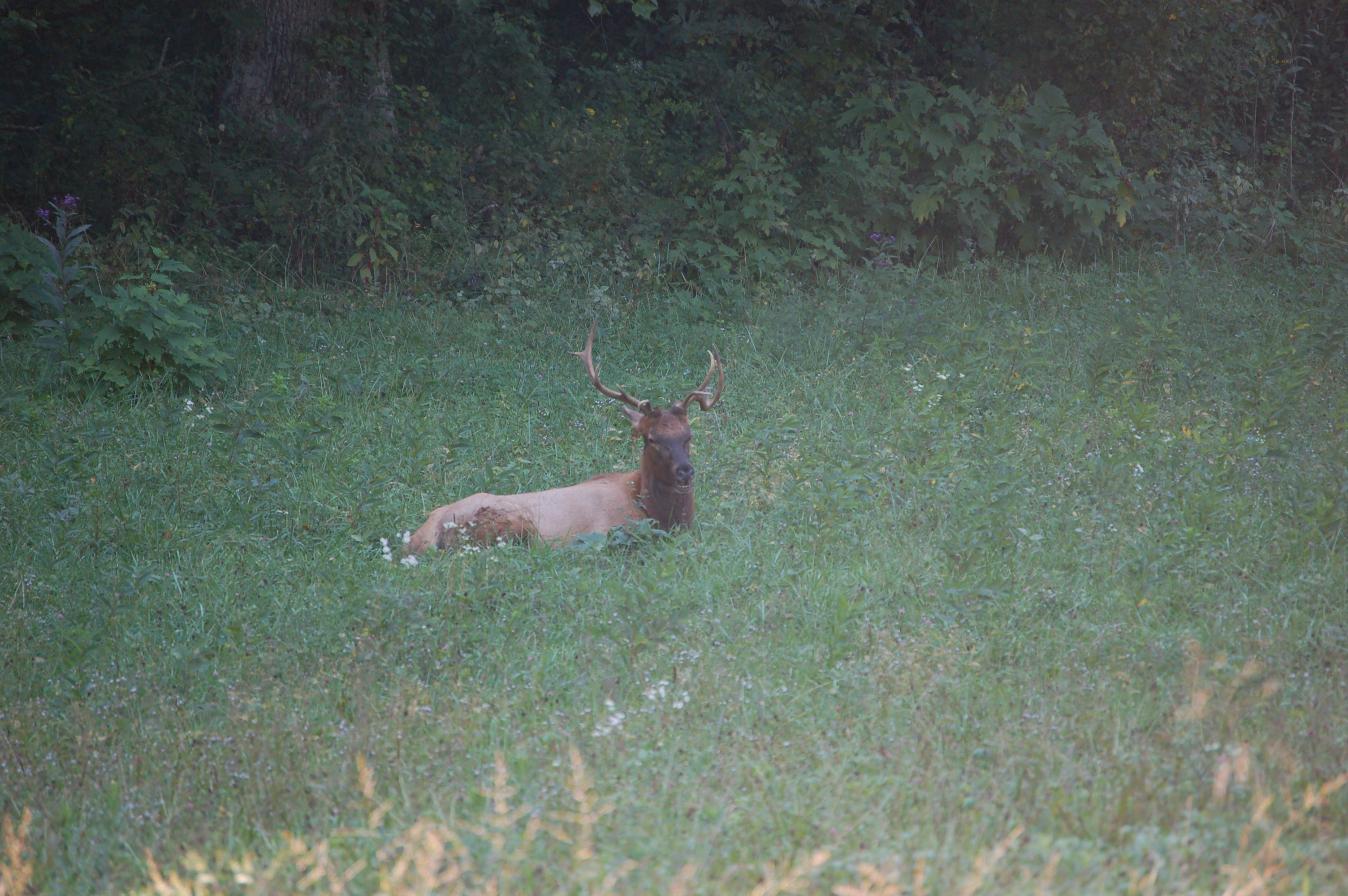 DSC_7218.JPG