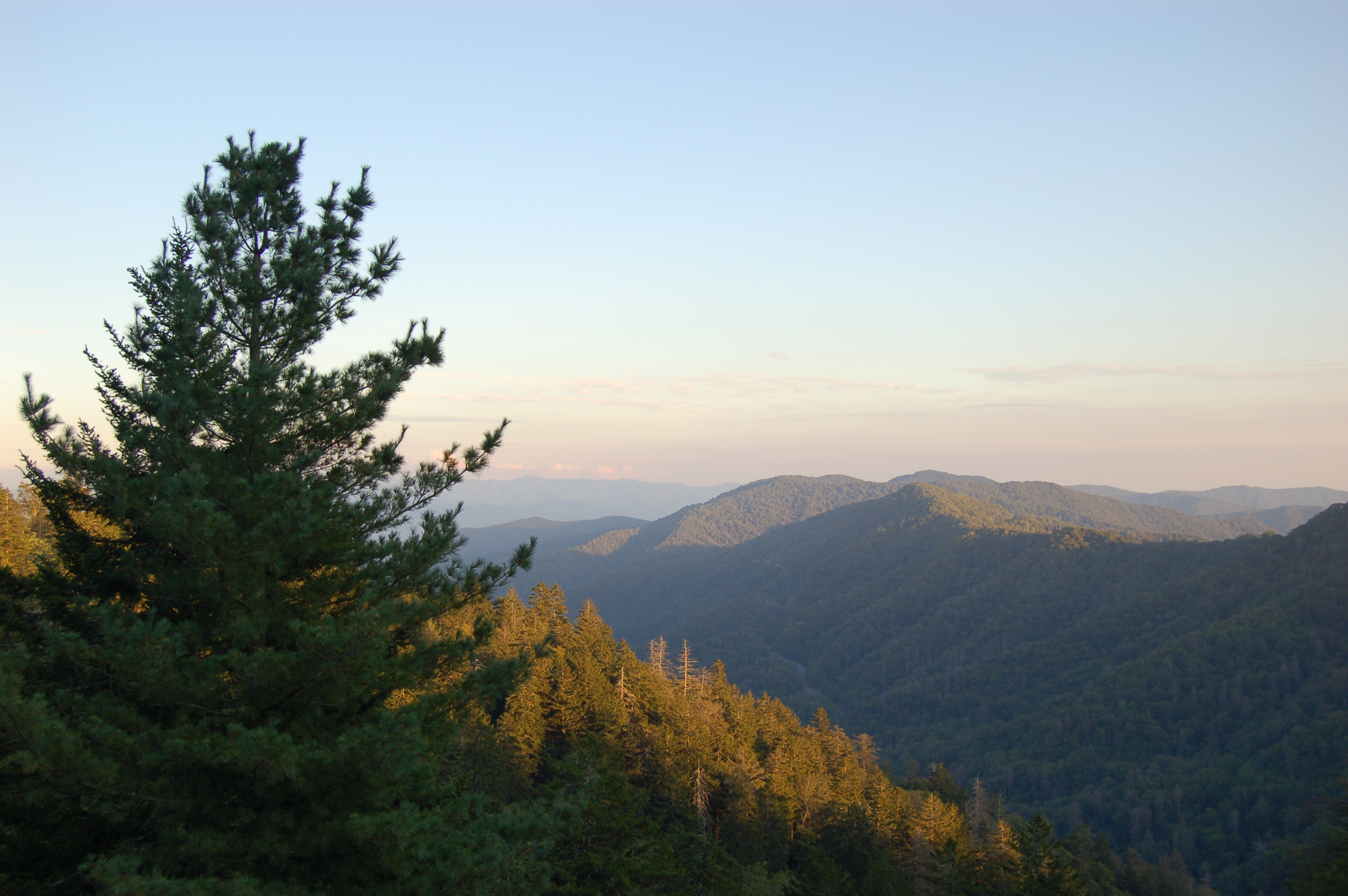 DSC_7219.JPG