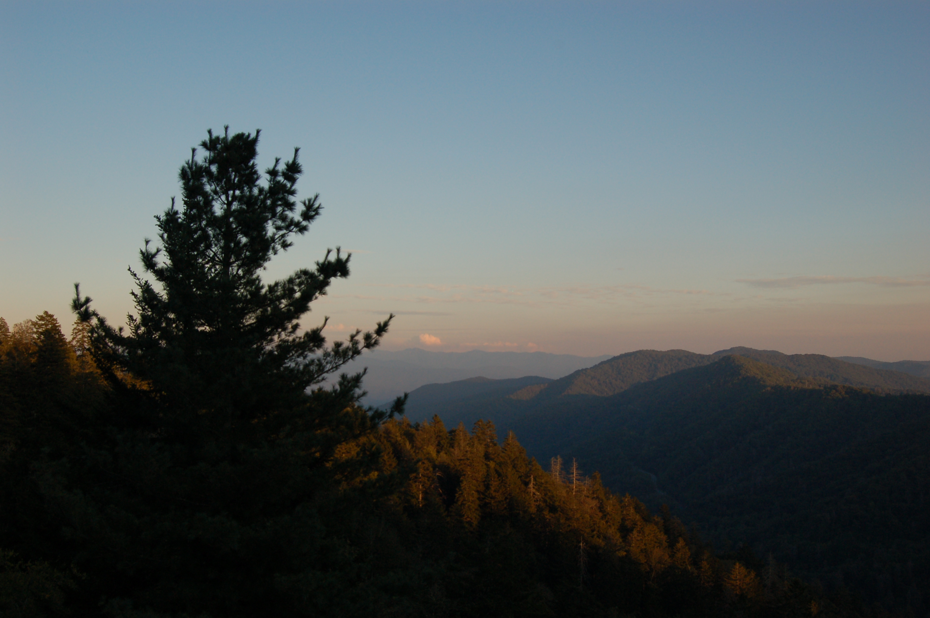 DSC_7231.JPG