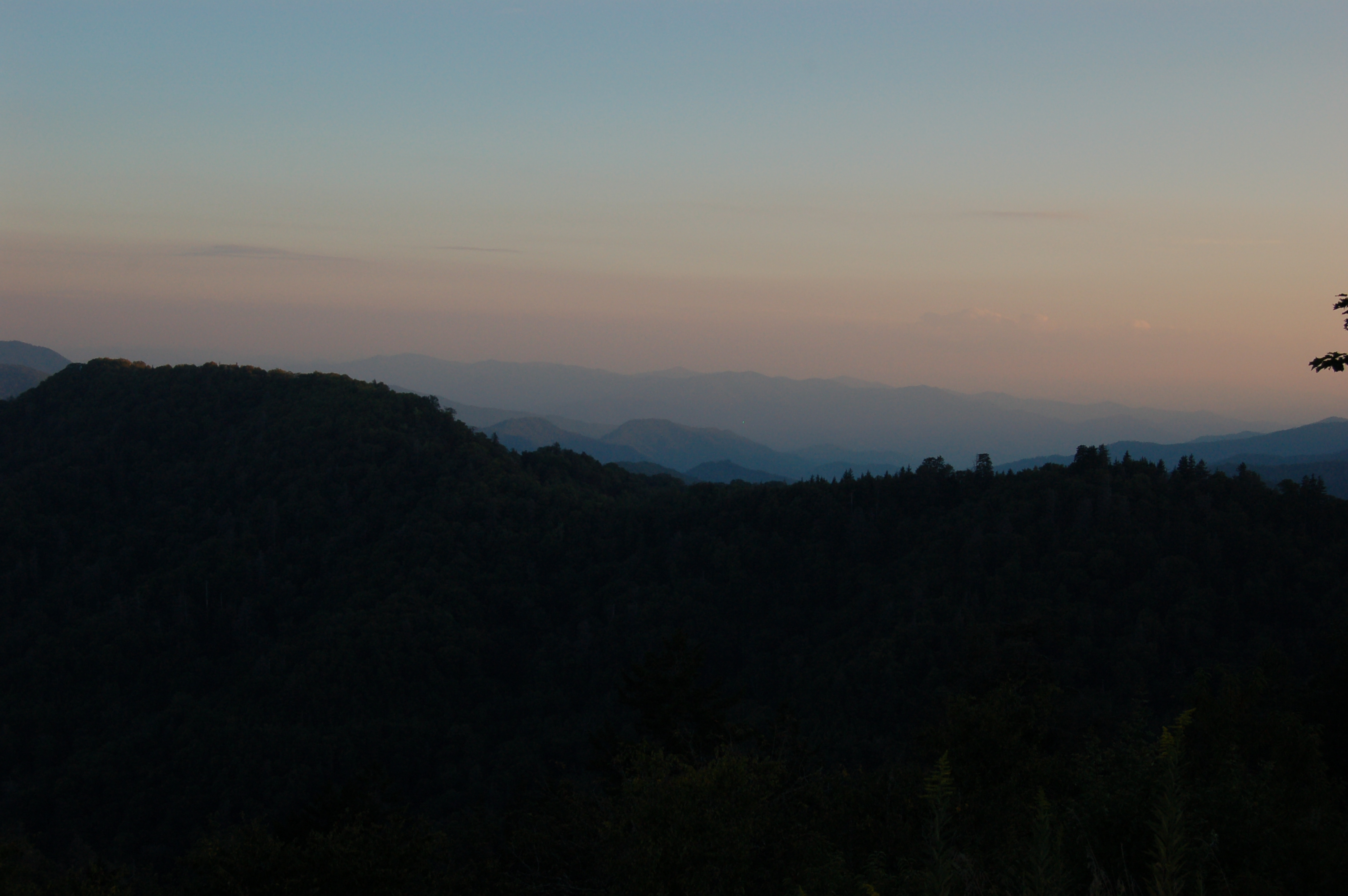 DSC_7234.JPG