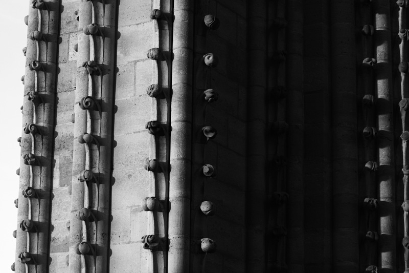 IMG_9979bw.jpg