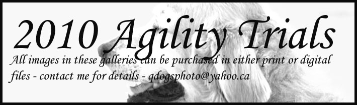 2010 Agility Logobbjpg.jpg