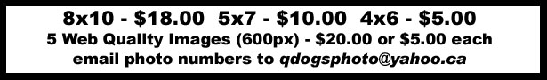 Price Logo.jpg