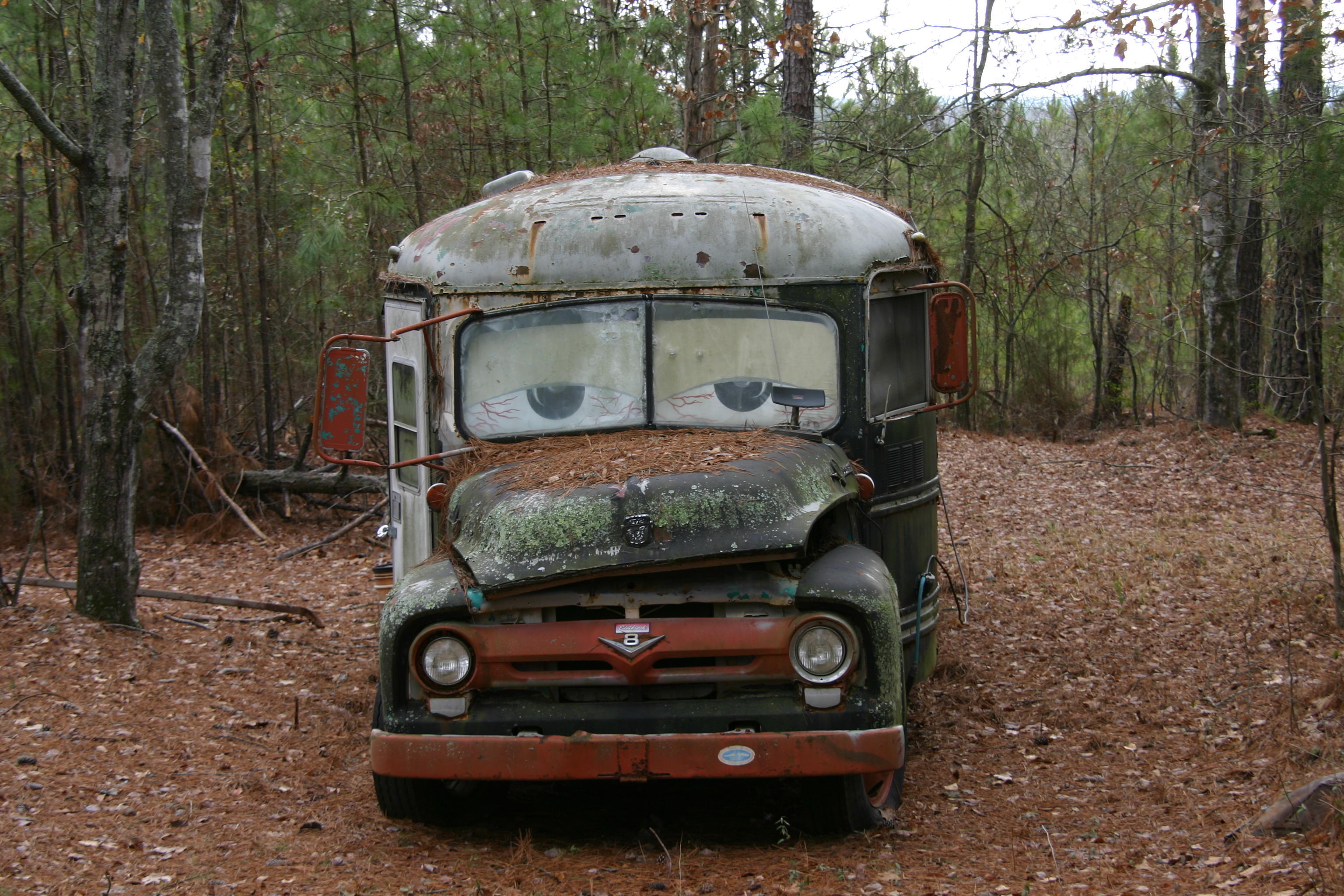Old Dog Hunting Cabin