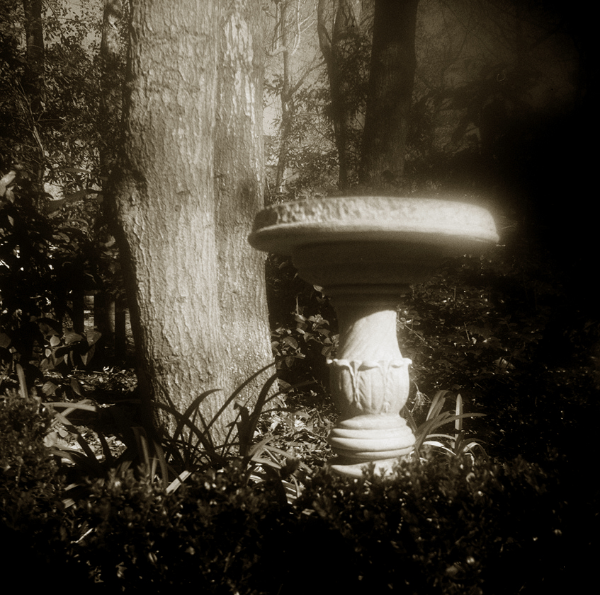 Bird Bath