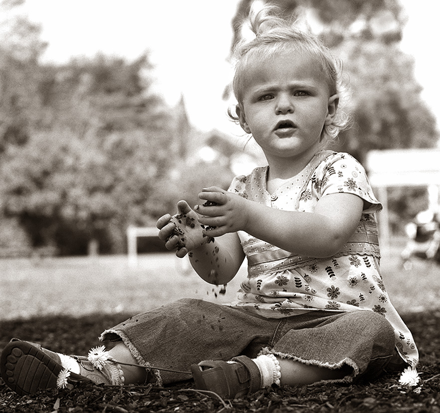 Daisy, with stones.