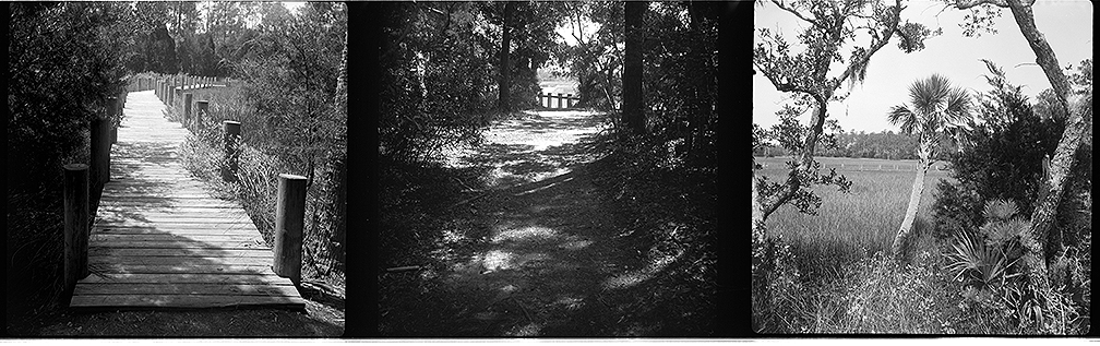 Baldixette Test Strip